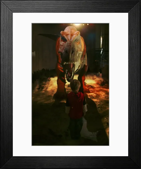 Framed Print : Tyrannosaurus rex Framed Print : Tyrannosaurus rex