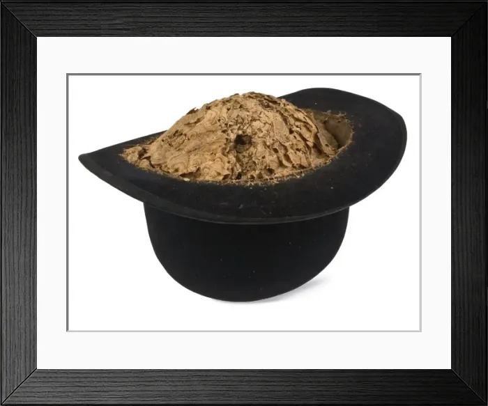 Framed Print : Wasp nest in a bowler hat Framed Print : Wasp nest in a bowler hat