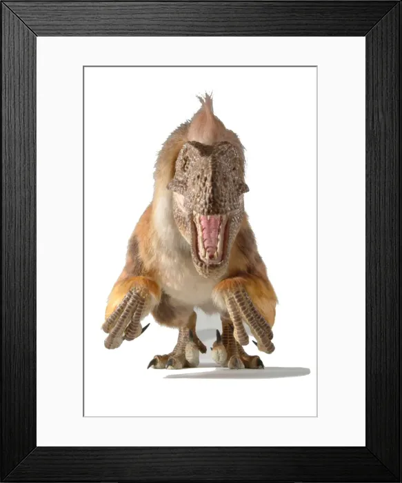 Framed Print : Dromaeosaurus, fuzzy raptor Framed Print : Dromaeosaurus, fuzzy raptor