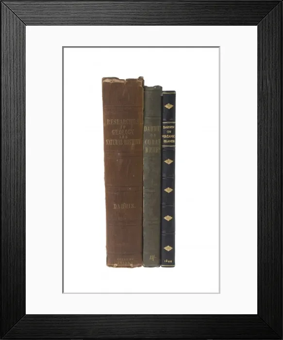 Framed Print : Darwin first editions Framed Print : Darwin first editions
