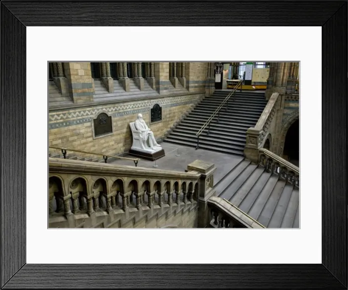 Framed Print : Charles DarwinCharles Robert Darwin (1809-1882) Framed Print : Charles DarwinCharles Robert Darwin (1809-1882)