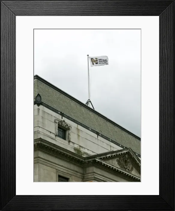 Framed Print : Natural History Museum flag Framed Print : Natural History Museum flag
