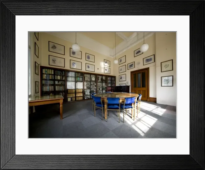 Framed Print : The Gavin De Beer room Framed Print : The Gavin De Beer room