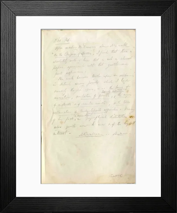 Framed Print : Back page of Wallace - Darwin paper, with Wallaces notes Framed Print : Back page of Wallace - Darwin paper, with Wallaces notes