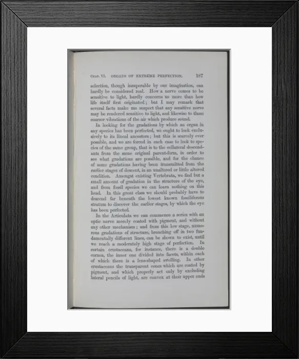 Framed Print : Page 187 from The Origin of Species Framed Print : Page 187 from The Origin of Species