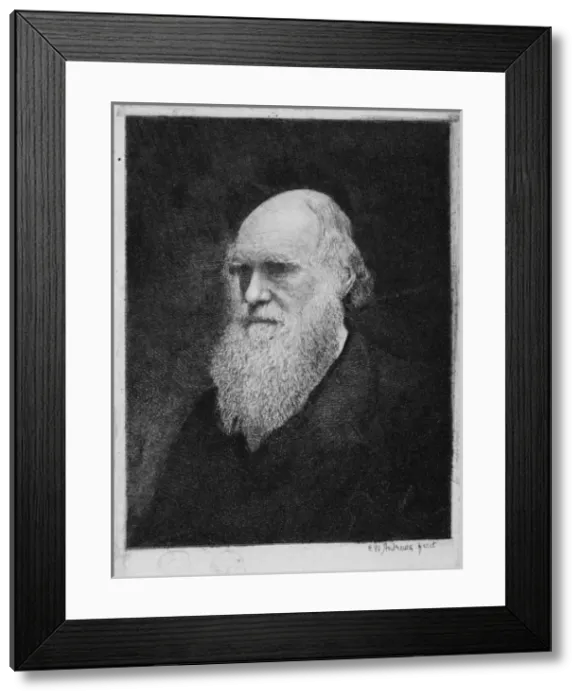 Framed Print : Charles Robert Darwin Framed Print : Charles Robert Darwin