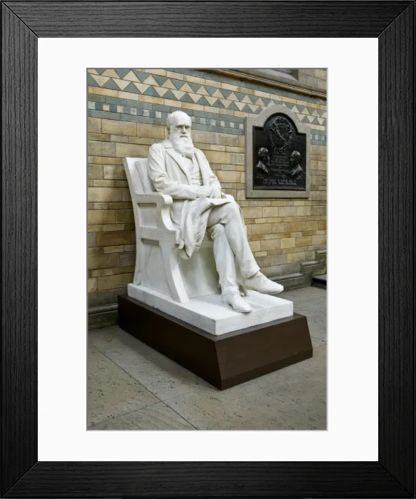 Framed Print : Charles Robert Darwin (1809-1882) Framed Print : Charles Robert Darwin (1809-1882)