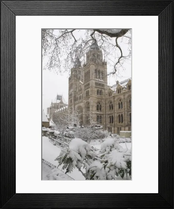 Framed Print : The Natural History Museum, London Framed Print : The Natural History Museum, London