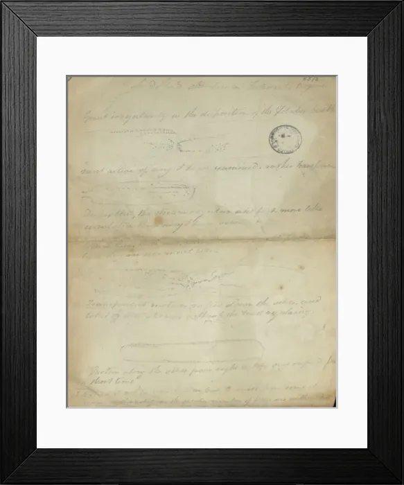 Framed Print : Sketch of Tradescantia by Robert Brown Framed Print : Sketch of Tradescantia by Robert Brown