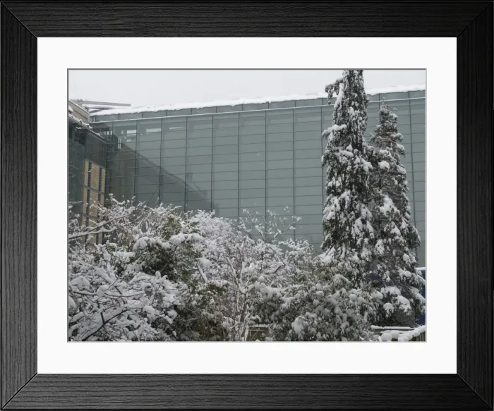Framed Print : The Darwin Centre at the Natural History Museum, London Framed Print : The Darwin Centre at the Natural History Museum, London