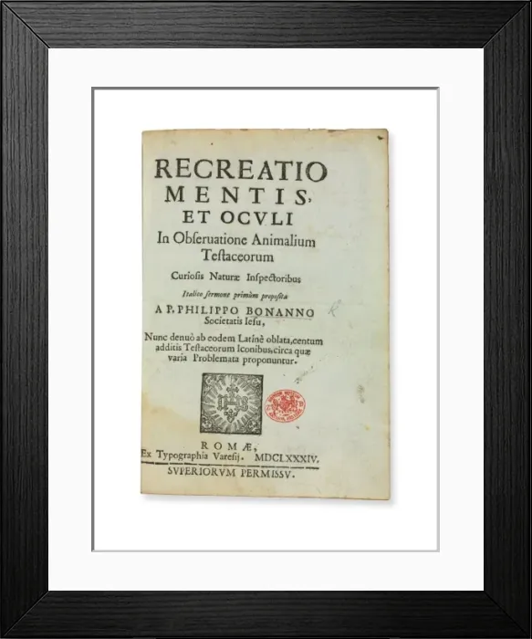 Framed Print : First shell book Framed Print : First shell book