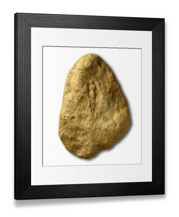 Framed Print : Venus in limestone Framed Print : Venus in limestone