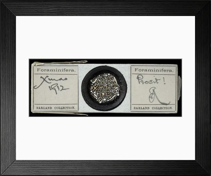 Framed Print : Heron- Allen microscope slides of foraminifera Framed Print : Heron- Allen microscope slides of foraminifera