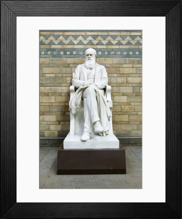 Framed Print : Charles Robert Darwin (1809-1882) Framed Print : Charles Robert Darwin (1809-1882)