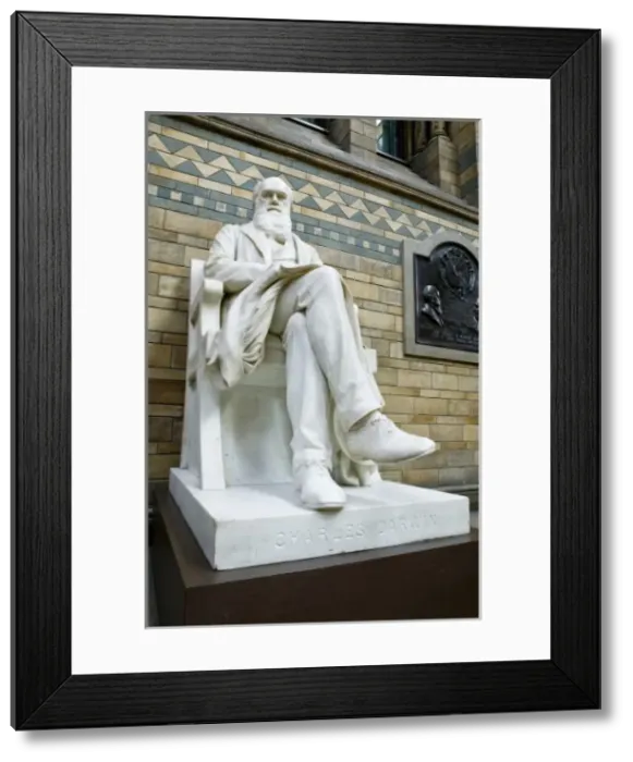 Framed Print : Charles Robert Darwin (1809-1882) Framed Print : Charles Robert Darwin (1809-1882)