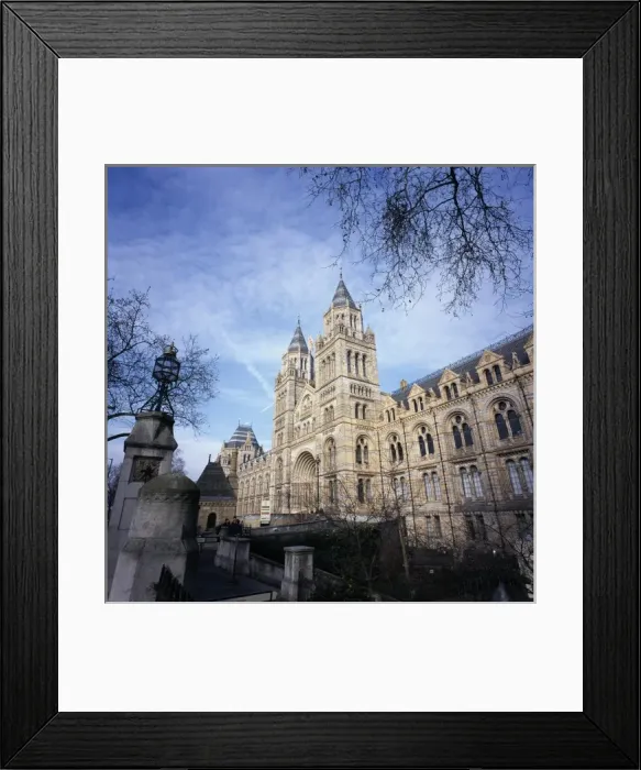 Framed Print : The Natural History Museum Framed Print : The Natural History Museum