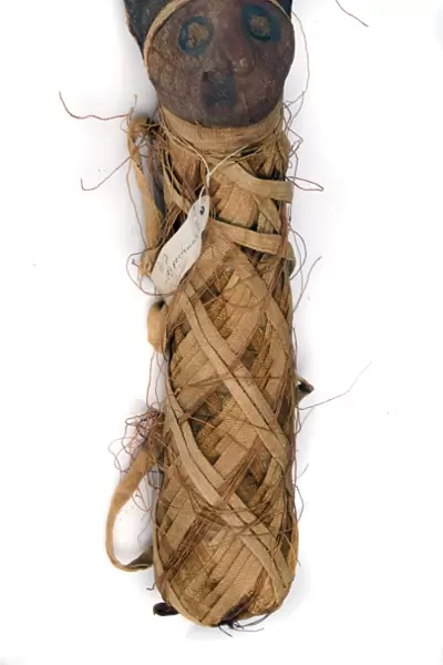Egyptian mummified cat