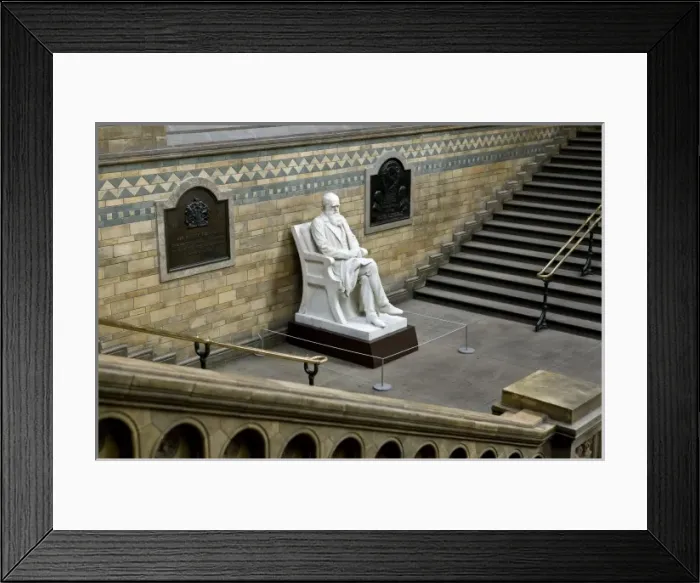 Framed Print : Charles Robert Darwin (1809-1882) Framed Print : Charles Robert Darwin (1809-1882)