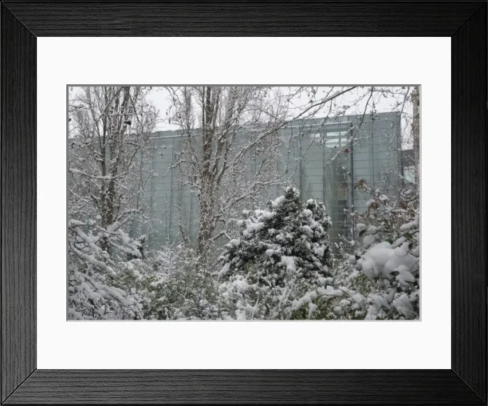 Framed Print : The Darwin Centre Phase Two at the Natural History Museum, L Framed Print : The Darwin Centre Phase Two at the Natural History Museum, L