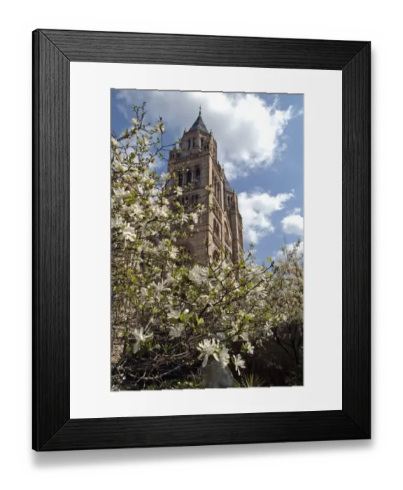 Framed Print : The Natural History Museum Wildlife Garden Framed Print : The Natural History Museum Wildlife Garden