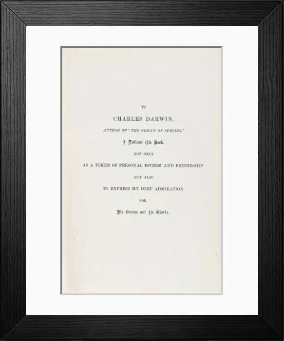 Framed Print : Portrait of a Gentleman study Framed Print : Portrait of a Gentleman study