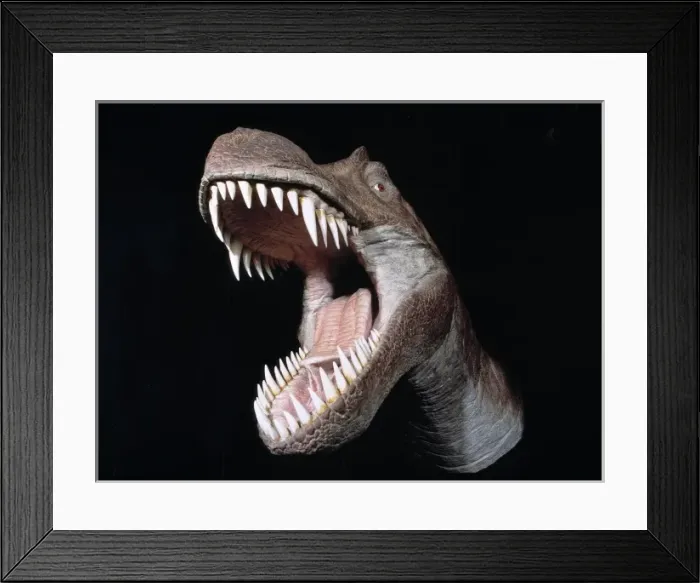 Framed Print : Tyrannosaurus rex Framed Print : Tyrannosaurus rex