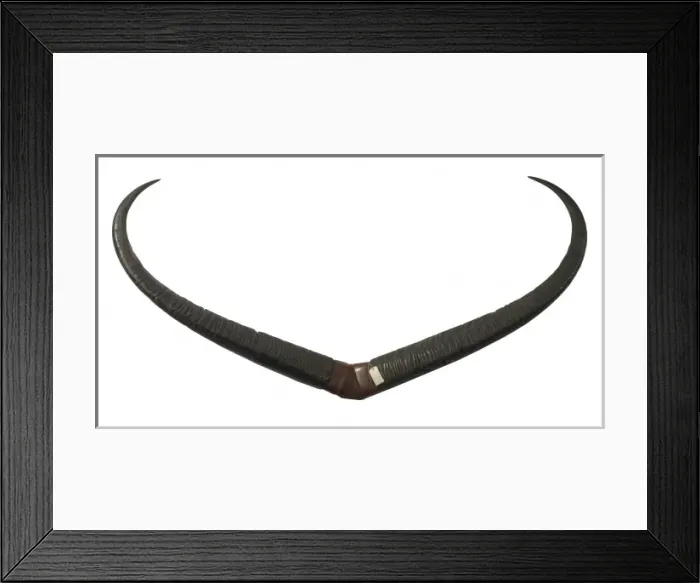 Framed Print : Bubalus bubalis, Indian water buffalo Framed Print : Bubalus bubalis, Indian water buffalo