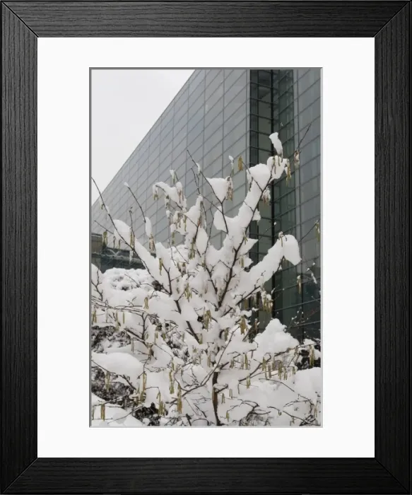 Framed Print : The Darwin Centre at the Natural History Museum, London Framed Print : The Darwin Centre at the Natural History Museum, London