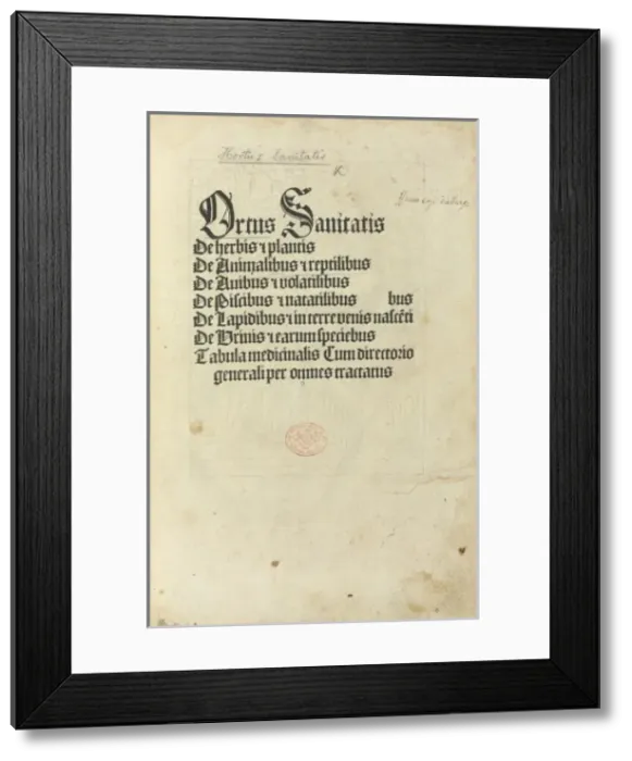Framed Print : Hortus Sanitatis, Jacob Meidenbach, 1497 edition Framed Print : Hortus Sanitatis, Jacob Meidenbach, 1497 edition