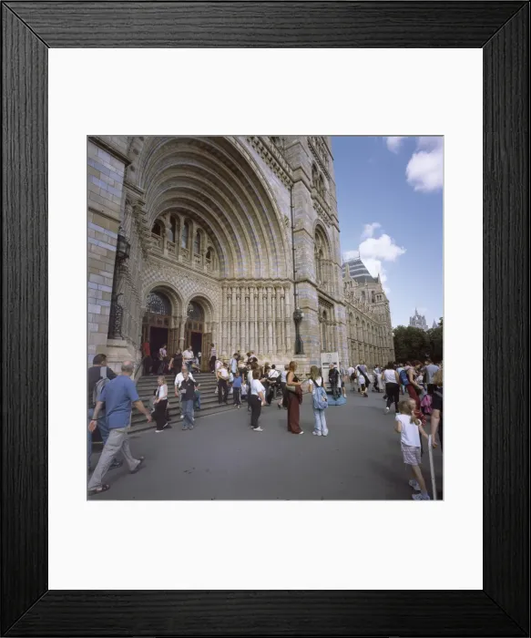 Framed Print : The Natural History Museum Framed Print : The Natural History Museum