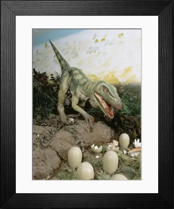Framed Print : Dromaeosaurus Framed Print : Dromaeosaurus