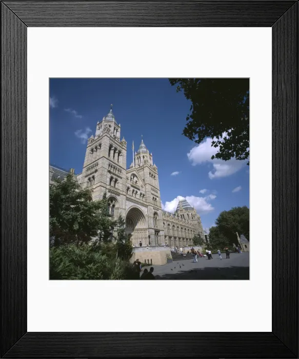 Framed Print : The Natural History Museum Framed Print : The Natural History Museum
