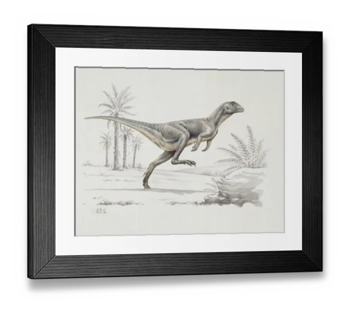 Framed Print : Heterodontosaurus Framed Print : Heterodontosaurus