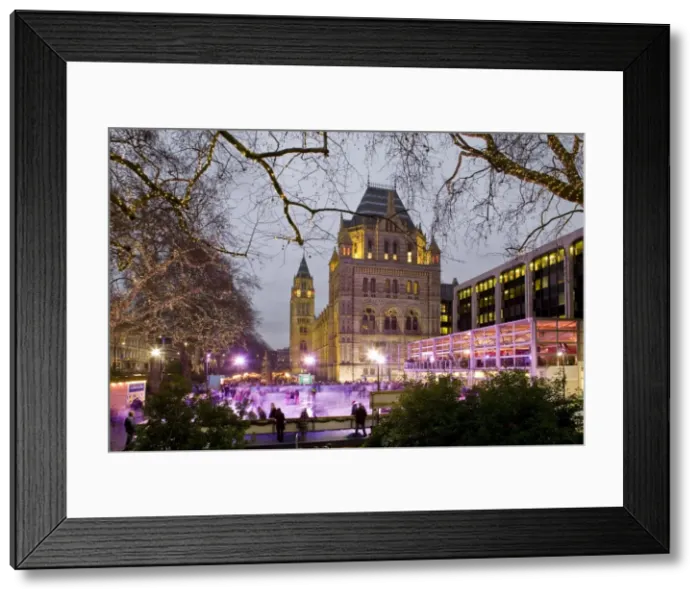 Framed Print : The ice rink at the Natural History Museum, London Framed Print : The ice rink at the Natural History Museum, London