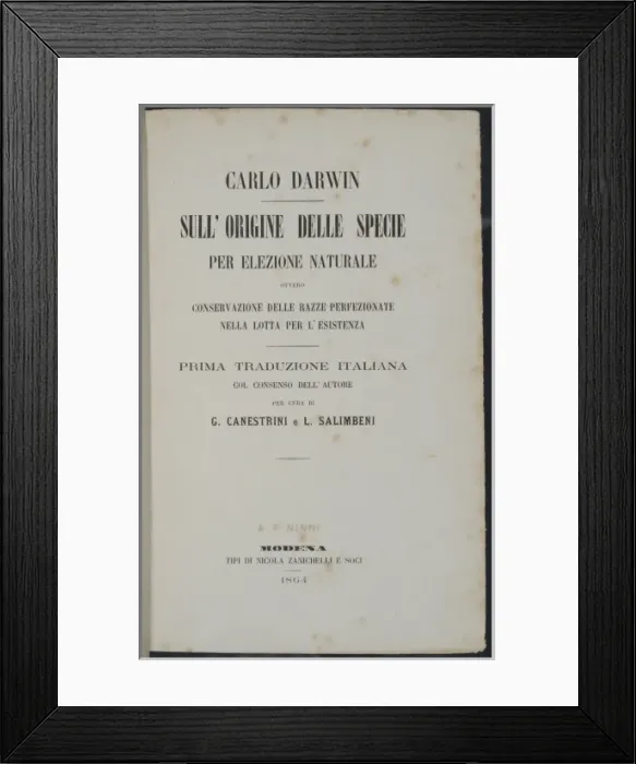 Framed Print : The Origin of Species title page - Italian version Framed Print : The Origin of Species title page - Italian version