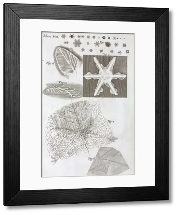 Framed Print : Schem VIII from Robert Hookes Micrographia Framed Print : Schem VIII from Robert Hookes Micrographia