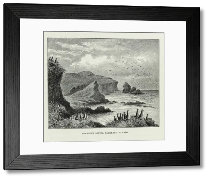 Framed Print : Berkeley Sound, Falkland islands Framed Print : Berkeley Sound, Falkland islands