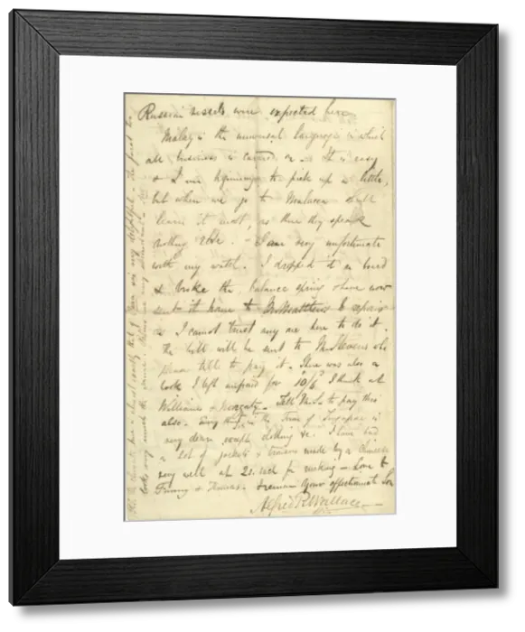 Framed Print : Letter from A. R. Wallace to his mother, 30 April 1854 Framed Print : Letter from A. R. Wallace to his mother, 30 April 1854