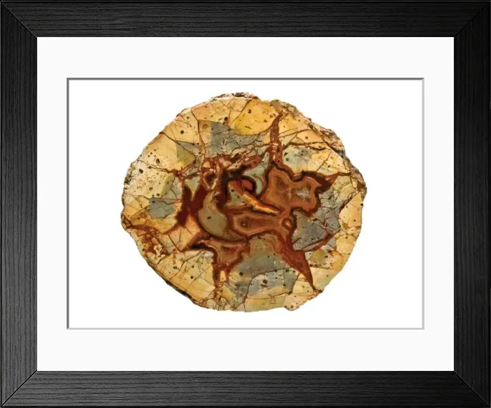 Framed Print : Agate thundereggs Framed Print : Agate thundereggs