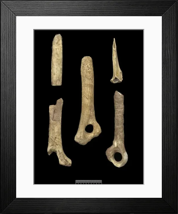 Framed Print : Goughs Cave artefacts Framed Print : Goughs Cave artefacts