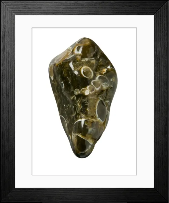 Framed Print : Turritella agate Framed Print : Turritella agate
