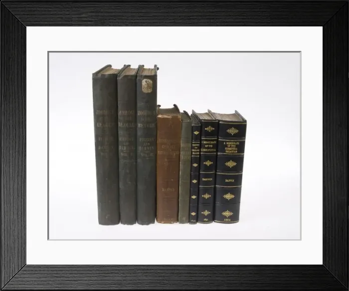 Framed Print : Darwin first editions Framed Print : Darwin first editions