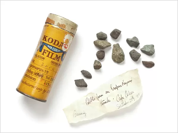 Kodak jar with pebbles from Emperor Penguin (Aptenodytes for