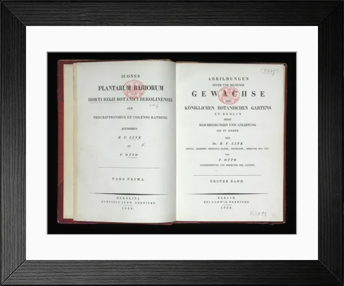 Framed Print : Plantarum Rariorum Horti Regii Botanici Berolinensis Framed Print : Plantarum Rariorum Horti Regii Botanici Berolinensis