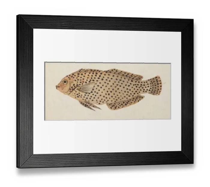 Framed Print : Plate 108 by William Ellis Framed Print : Plate 108 by William Ellis