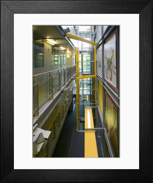 Framed Print : The Darwin Centre Framed Print : The Darwin Centre