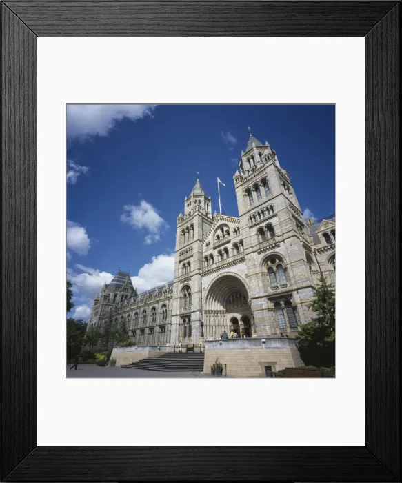 Framed Print : The Natural History Museum Framed Print : The Natural History Museum