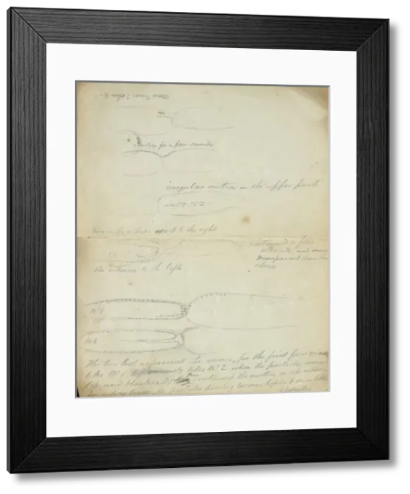Framed Print : Sketch of Tradescantia by Robert Brown (part two) Framed Print : Sketch of Tradescantia by Robert Brown (part two)