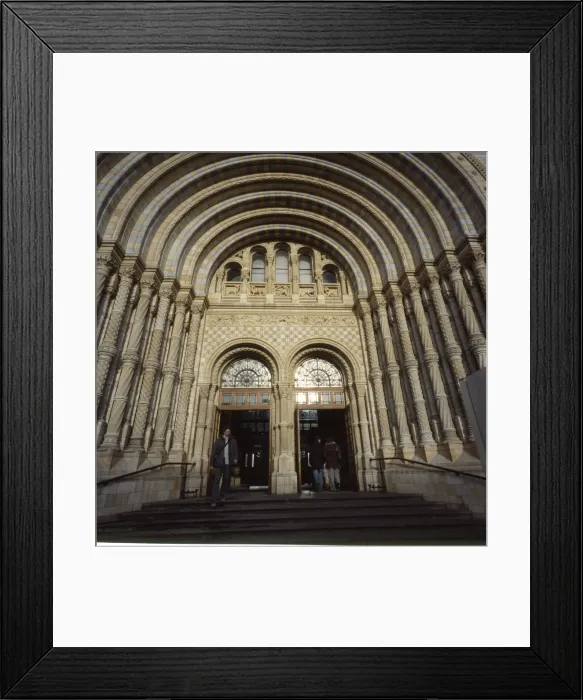 Framed Print : The Natural History Museum Framed Print : The Natural History Museum