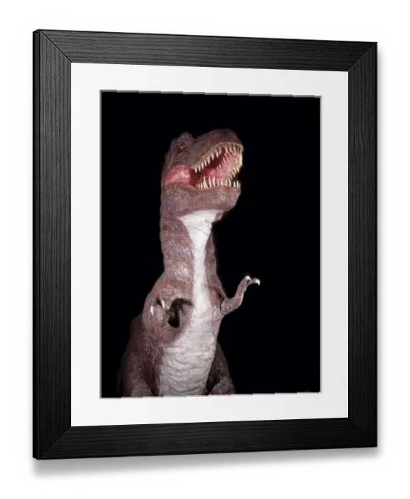 Framed Print : Tyrannosaurus rex Framed Print : Tyrannosaurus rex